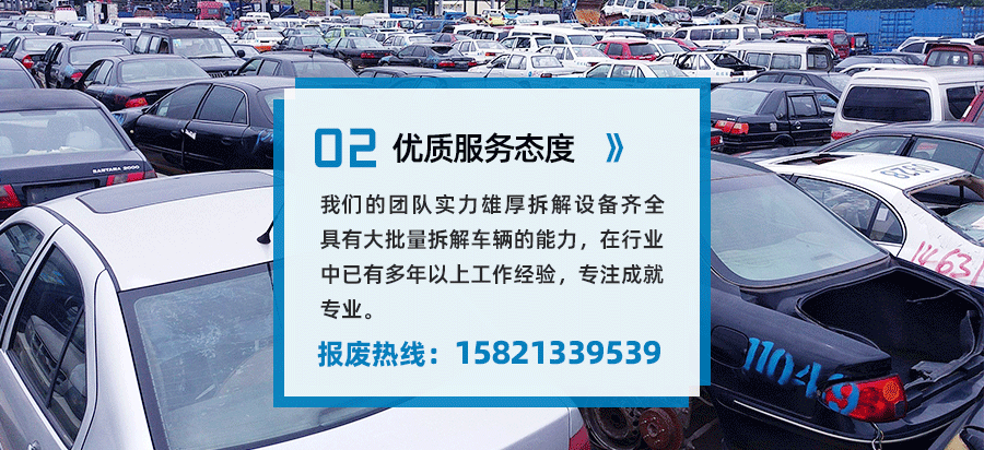 公司优势